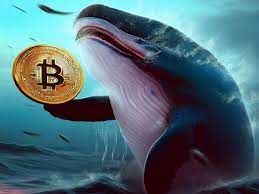 Bitcoin Balinaları ve Madenciler Arasındaki Dinami...